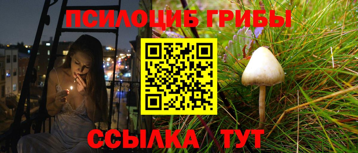 Галлюциногенные грибы MAGIC MUSHROOMS  наркотики  Псилоцибиновые грибы прущие грибы  Карабулак  Вход с VPN 