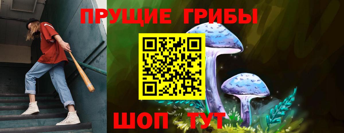 Псилоцибиновые грибы мухоморы Карабулак